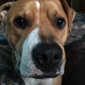 Meet your Posher, Vicki